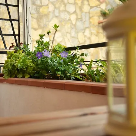 Bed & Breakfast Amalfi Coast Cetara