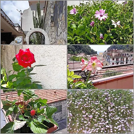 Amalfi Coast سيتارا